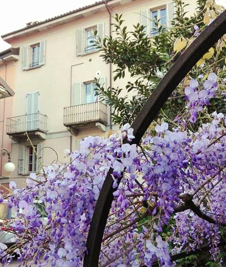 Apartment Casa Vacanze Stella *